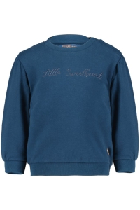 4President sweater Kate blue wing teal